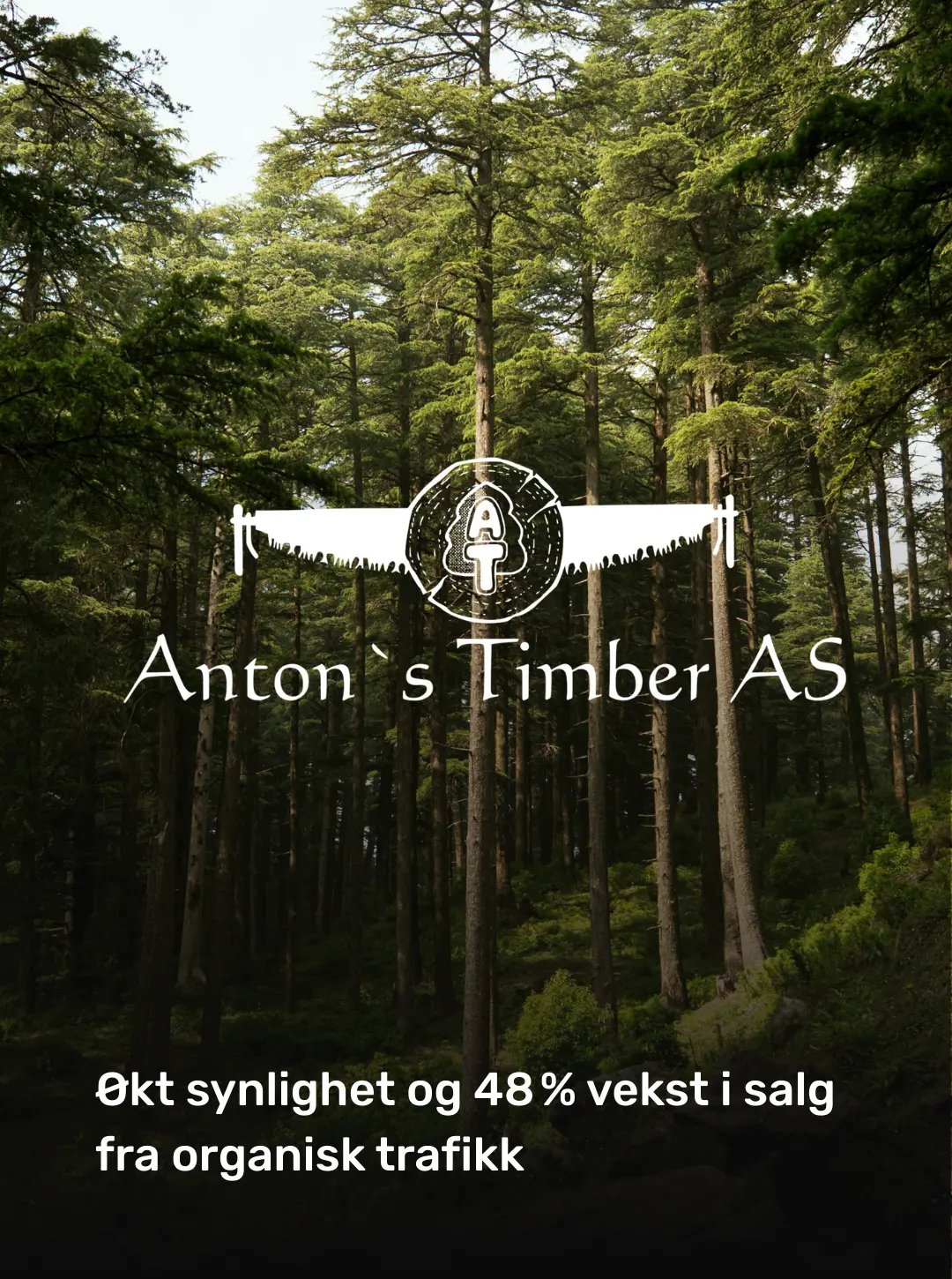 Resultatcase: Antons Timber